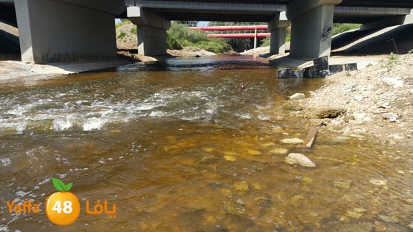 roben tabee3ar (26).JPG